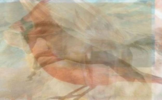 Dime qué animal ves y te diré cómo eres