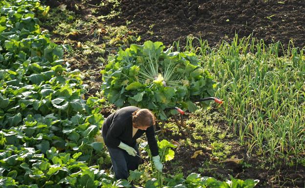 El 37 % de las explotaciones agrarias vascas están a nombre de mujeres