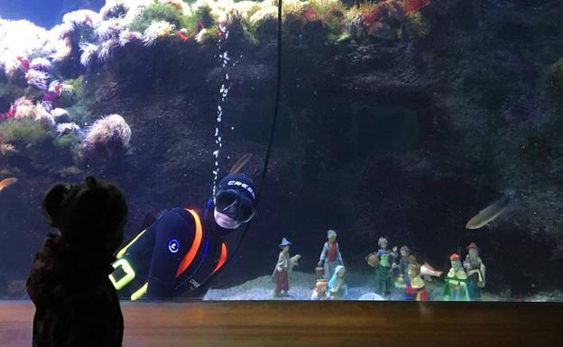 Ezohiko konpainia dute Donostiako Aquariumeko arrainek./