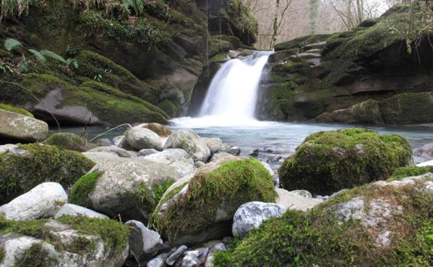La selva de Arbaila es un infinito hayedo que esconde una belleza sin igual/
