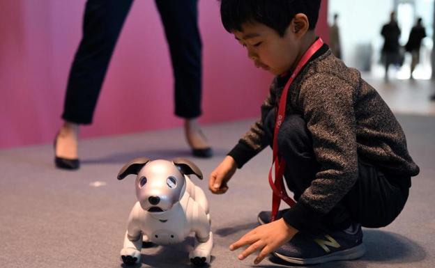 Un niño juega con el perro robótico de Sony,/Afp