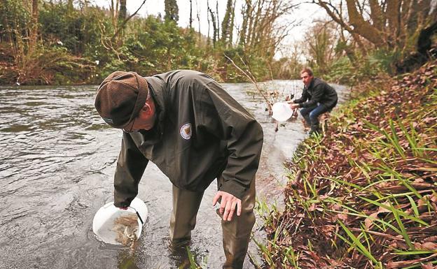Técnicos de la Diputación, en una suelta de alevines de salmón en aguas del río Urumea/Usoz