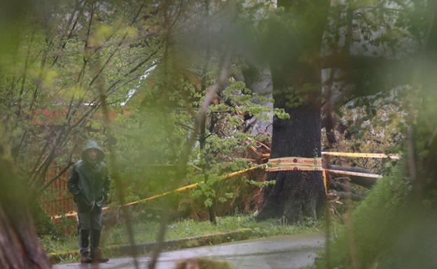 Lugar del accidente, dentro del Ekogunea.