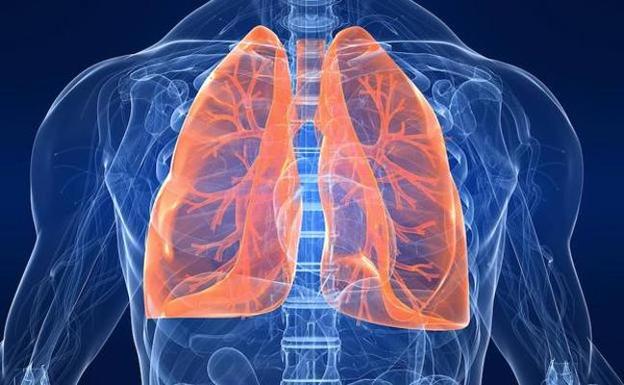 El cobre y el plomo de los suelos de Euskadi favorecen el cáncer de pulmón y esófago