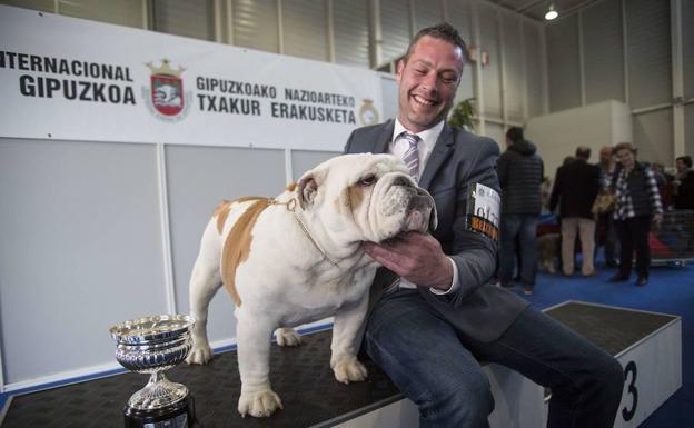 Ganador de la edición de 2016 de la Exposición Canina Internacional de Gipuzkoa. /De la Hera