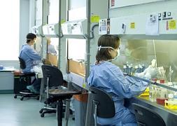 Científicos españoles trabajan en el desarrollo de la vacuna. / Archivo/