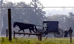 Identificada la causa genética de un retraso en el desarrollo en comunidades Amish. FOTO: TIM SHAFFER./