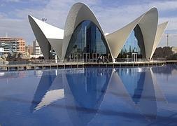 Oceanográfico de la Ciudad de las Artes de Valencia. / Archivo/
