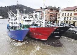 Orio. Ayer la corriente a la que hicieron frente los barcos en el puerto de Orio fue a la del río. :: LOBO AL TUNA/