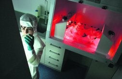 Un científico preparara muestras para un análisis en un laboratorio del campus de Leioa. / IGNACIO PÉREZ/