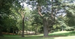 El parque de Cristina Enea es uno de los parajes más entrañables para los donostiarras. /AYGÜES/