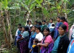 Un grupo de mujeres de la comunidad Guaximal del municipio Salto de Agua, en Chiapas. /K.I/