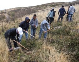 Un grupo de emigrantes se dispone a plantar árboles en la zona de Polipaso /MIKEL FRAILE/