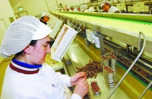 Una trabajadora llena latas de anchoa en conserva en la empresa Yurrita, de Mutriku. :: MORQUECHO/