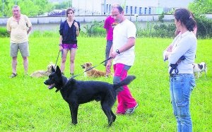 Relación. Manuel Villar trabaja el vínculo de los perros con sus propietarios./