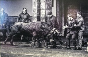 Zezena. Fotografía ganadora en la pasada edición, de Juan Mari Amenabar 'Otola'./