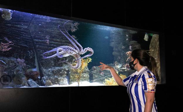El pulpo Pello, el nuevo icono turístico | Real Sociedad