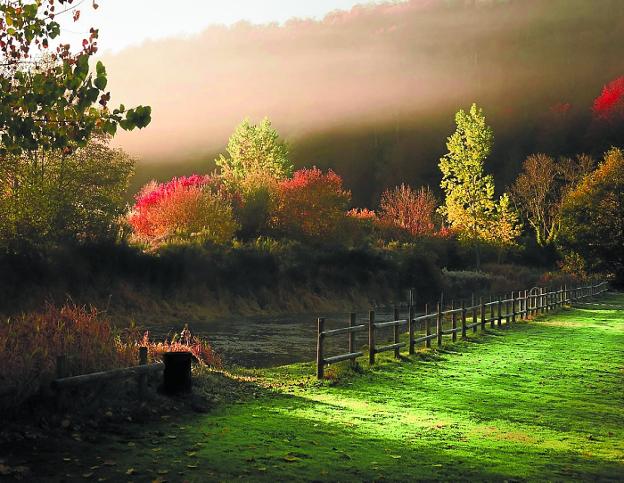 Arrasate | Las estampas más bellas del otoño | El Diario Vasco