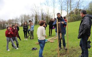 Fruta-arbola landatzen/