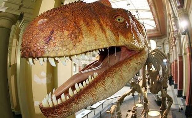 Hallan Evidencias De Canibalismo En Los Dinosaurios El Diario Vasco