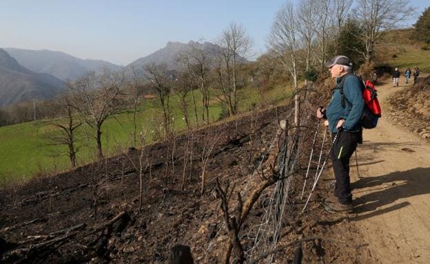 Un hombre observa el daño causado poe el fuego en el Parque Natural Aiako Harria./Lusa