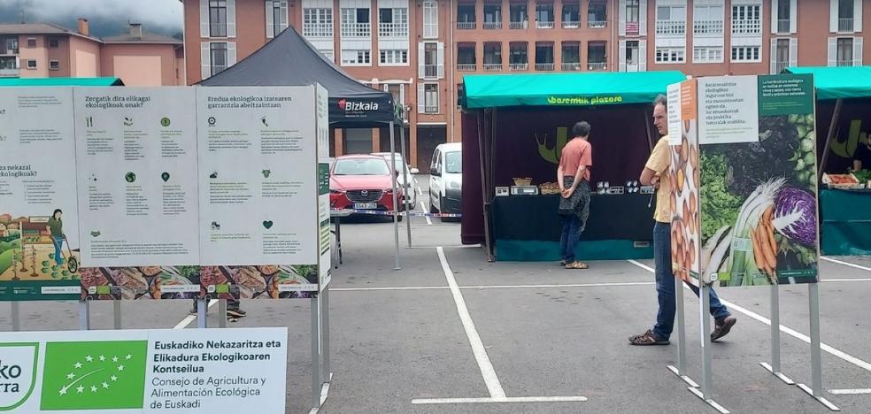 Mercado ecológico con 20 puestos, hoy en la plaza Eusebio Gurrutxaga - Vimarsana News