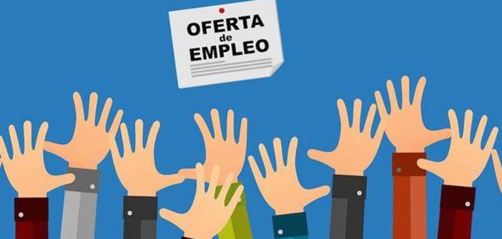 Empleo: El SEPE oferta 18.000 empleos en agosto con sueldos de hasta 80.000 euros al año - Vimarsana News