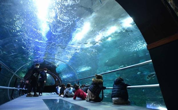 Group of schoolchildren in the Aquarium tunnel, during one of the guided tours. 