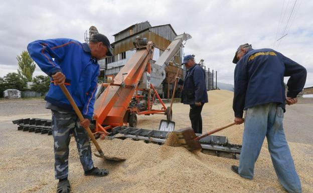 Ukrainian farmers collect grain near Odessa. 
