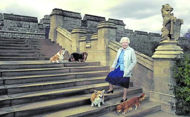 The queen, posing in 2016 with her dogs on one of the steps of Windsor Castle.