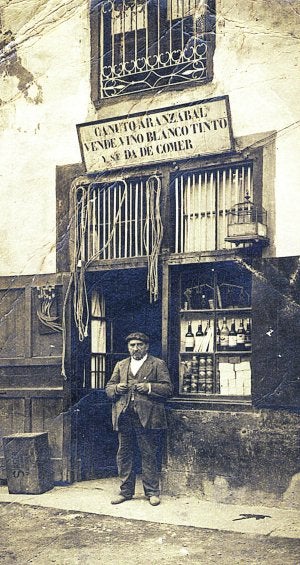Castano de indias arbolapeta